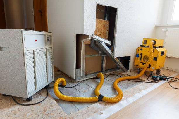 Forensic Mold Investigation in Taylorsville, NC