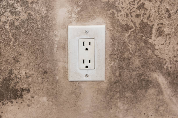 Best Post-Construction Mold Inspection  in Taylorsville, NC
