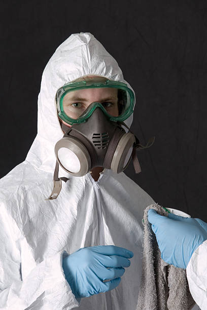 Best Attic Mold Removal  in Taylorsville, NC